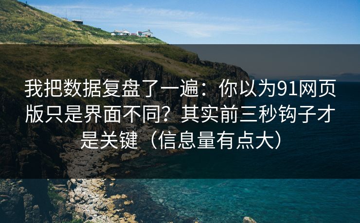 我把数据复盘了一遍：你以为91网页版只是界面不同？其实前三秒钩子才是关键（信息量有点大）