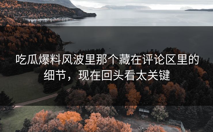 吃瓜爆料风波里那个藏在评论区里的细节，现在回头看太关键